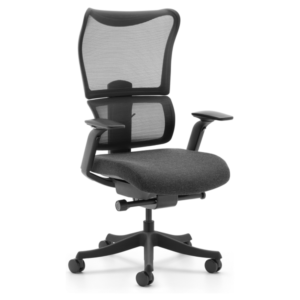 FlexiSpot BS8 Pro Ergonomic Chair - Image 2