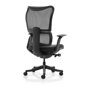 FlexiSpot BS8 Pro Ergonomic Chair - Image 3